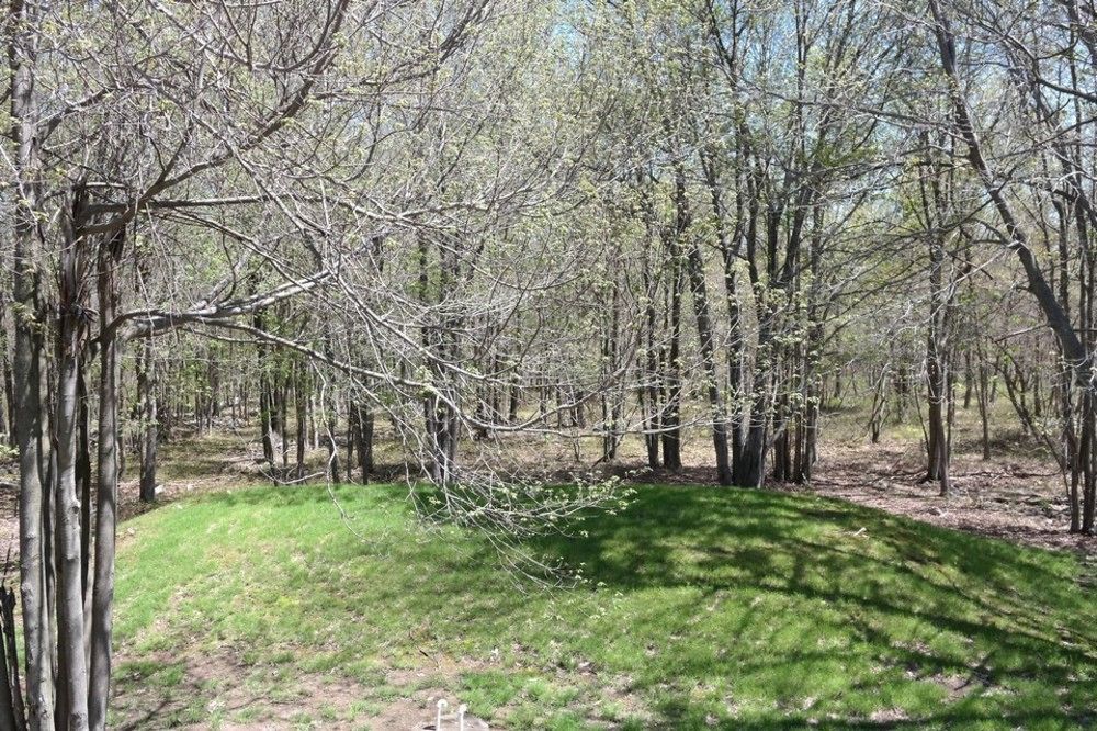 Rentals At Brier Crest Woods 莱克哈莫尼 外观 照片